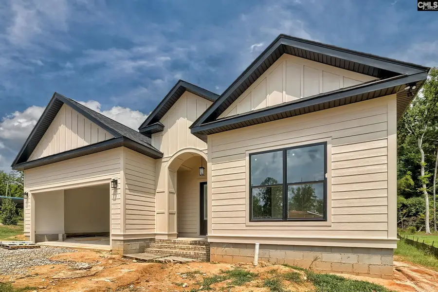 858 Elms Spinney Lane, Chapin, SC 29036 - #2