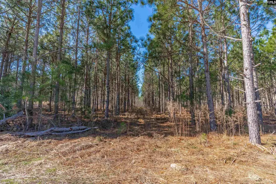 Lot #4 Fairview Road #008200-07-010, Batesburg, SC 29006 - #2
