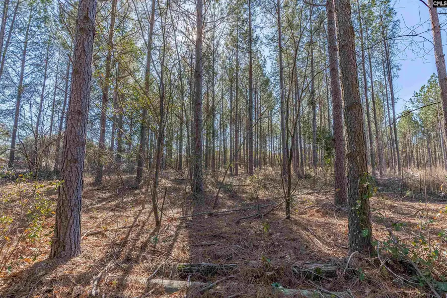 Lot #4 Fairview Road #008200-07-010, Batesburg, SC 29006 - #3