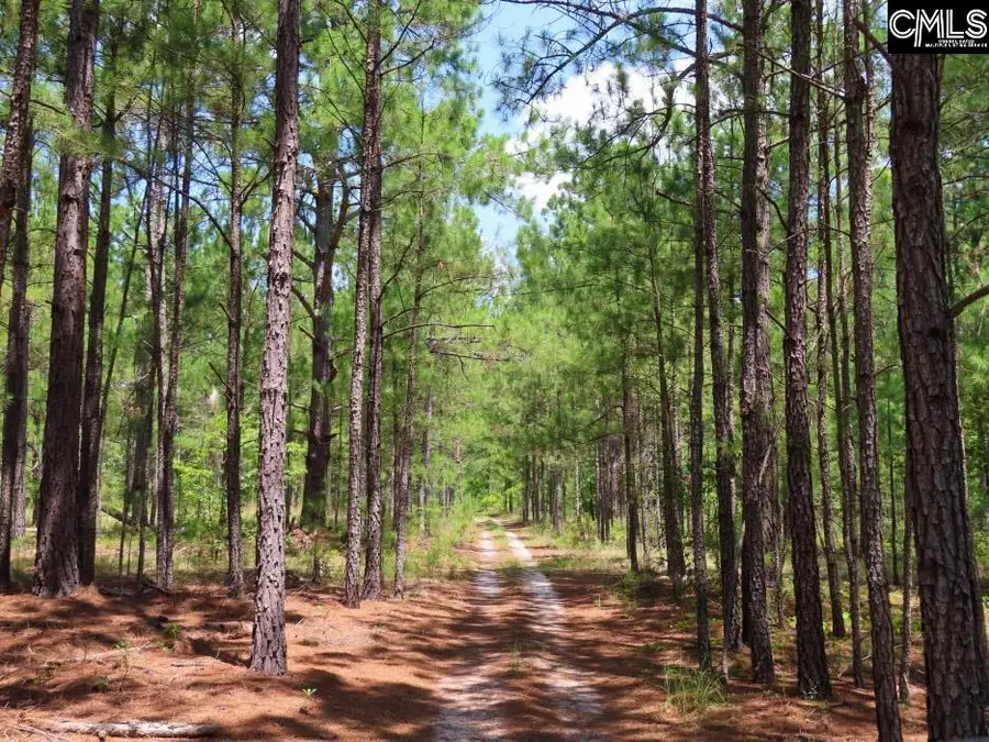 3915 Old Georgetown Road, Kershaw, SC 29067 - #2
