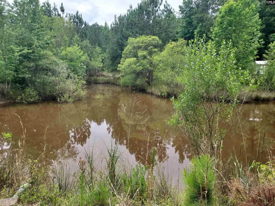 1020 Pine Bark Road, Camden, SC 29020 - #3