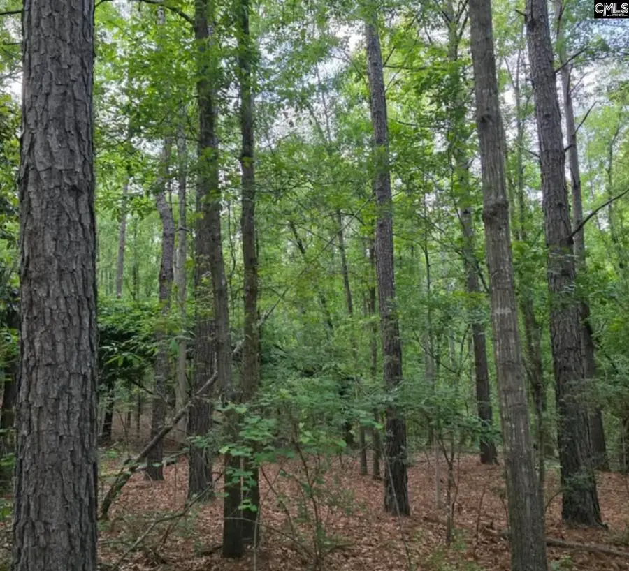 15 acres Woodberry Lane, North Augusta, SC 29841 - #2