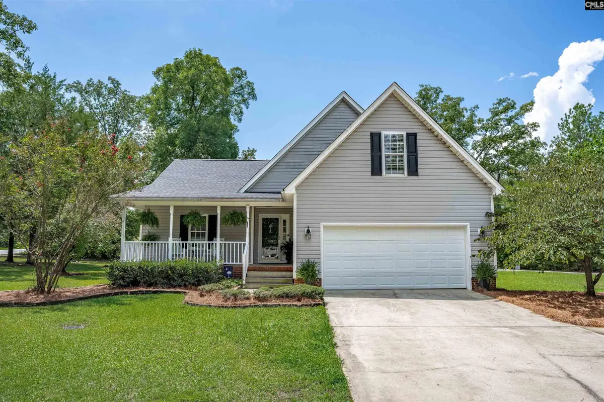 209 Alice Drive, Chapin, SC 29036 - #1