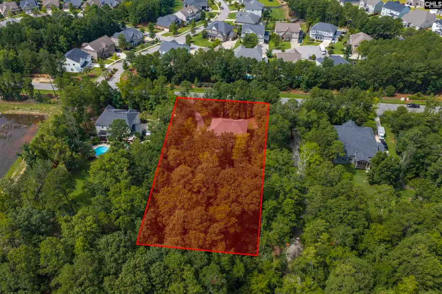 2435 Old Lexington Highway, Chapin, SC 29036 - #3