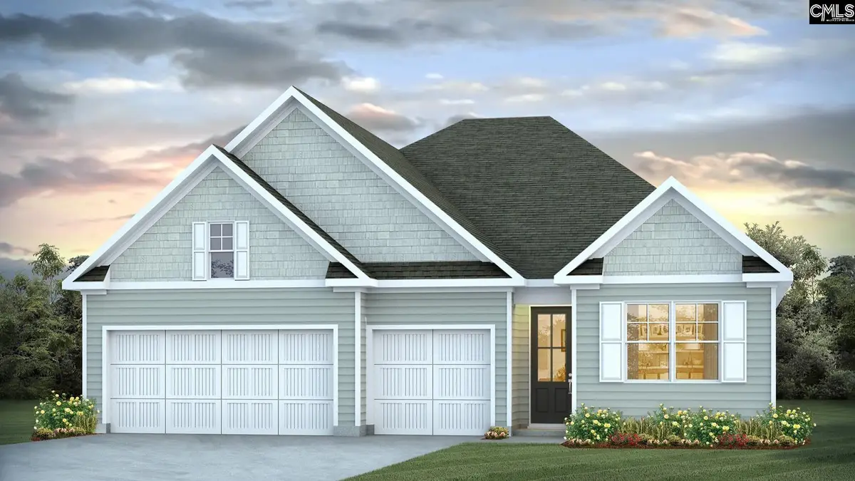 225 Sunny Stream Drive, Chapin, SC 29036 - #1
