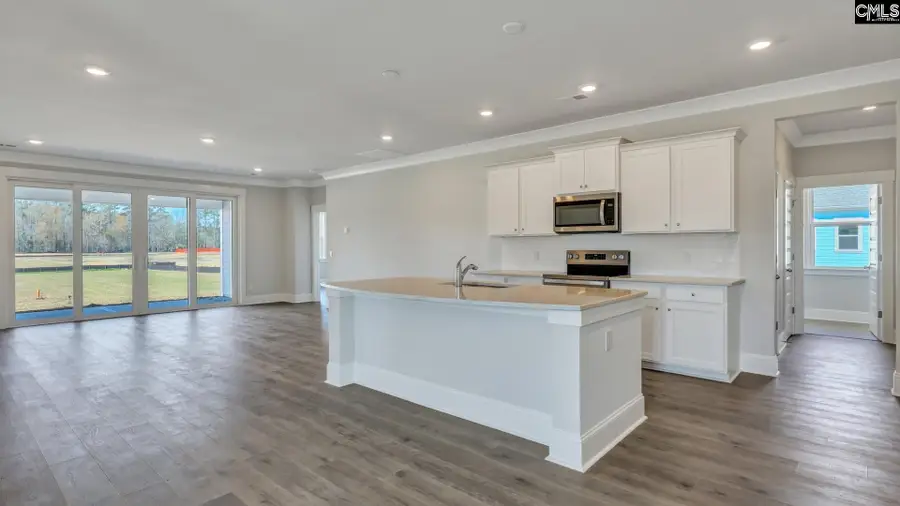 225 Sunny Stream Drive, Chapin, SC 29036 - #2