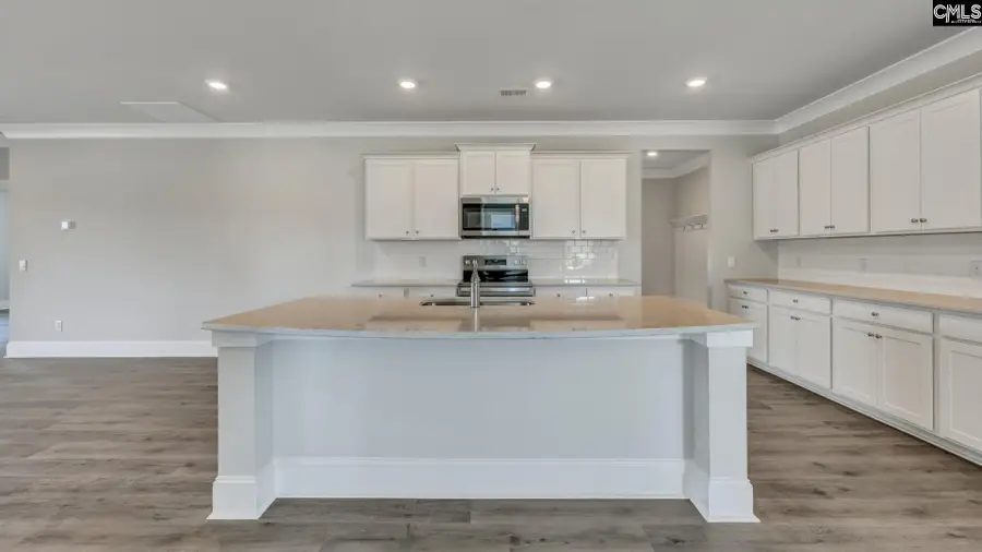 225 Sunny Stream Drive, Chapin, SC 29036 - #3