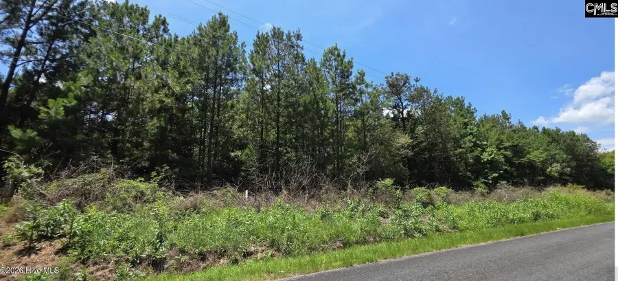 10 Acres Chestnut Ridge Road, McCormick, SC 29835 - #2