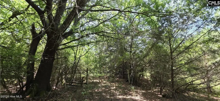 10 Acres Chestnut Ridge Road, McCormick, SC 29835 - #3