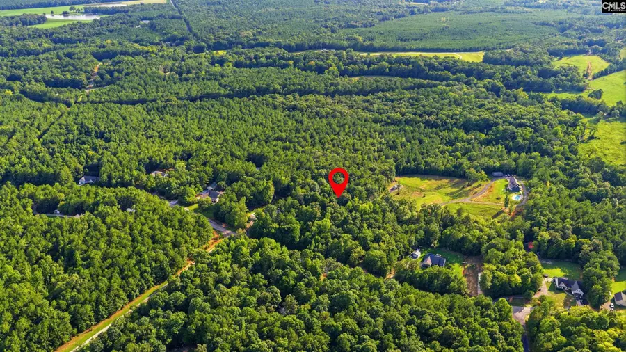 TBD Little Creek Drive, Little Mountain, SC 29075 - #3