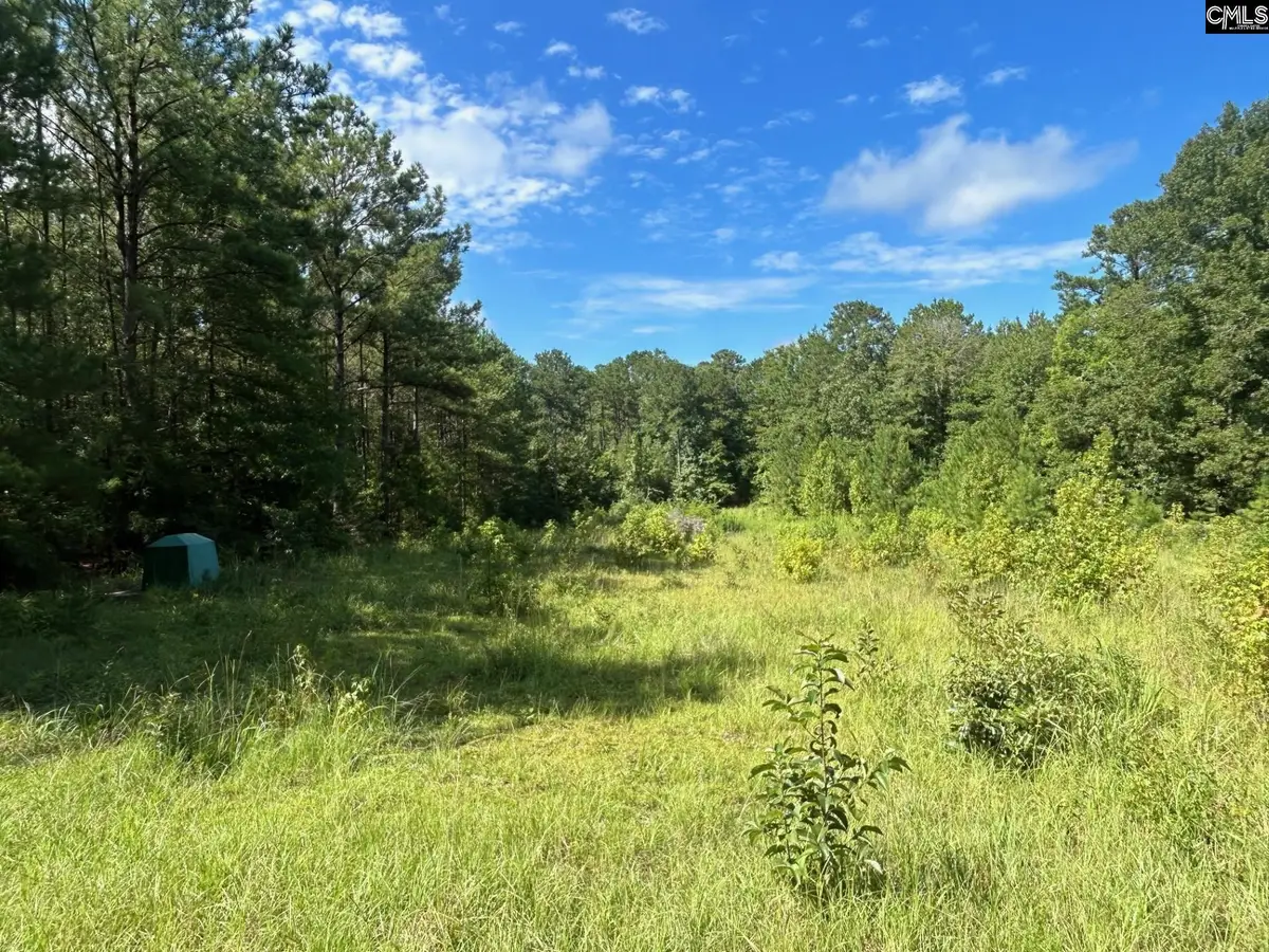 TBD C Old Dutch Road, Little Mountain, SC 29075 - #1