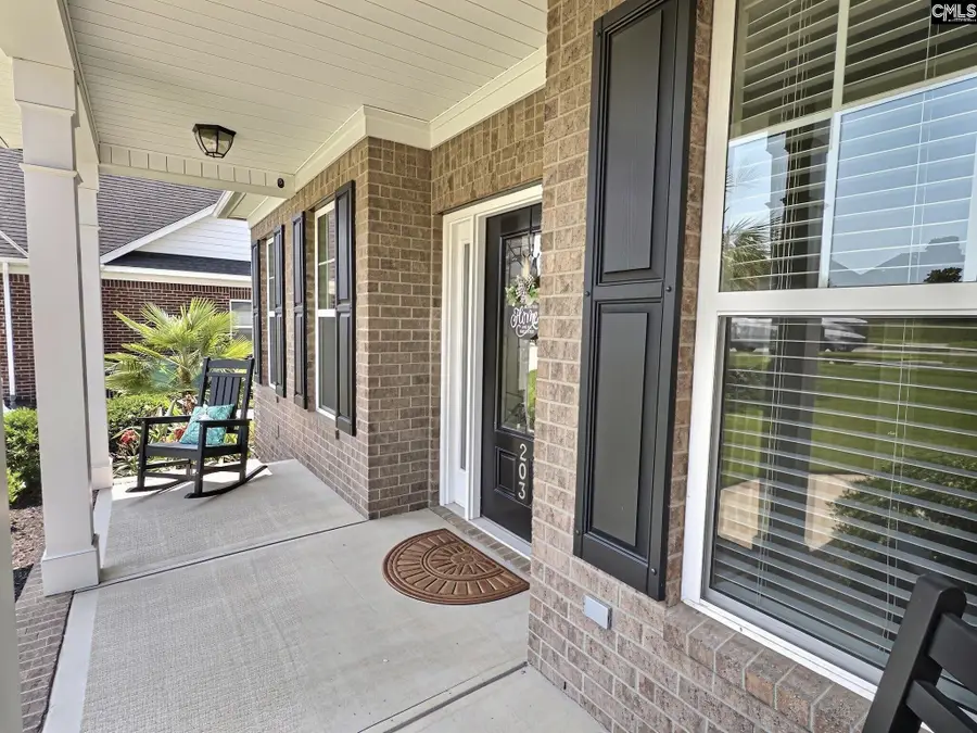 203 Shimano Court, Lexington, SC 29072 - #3