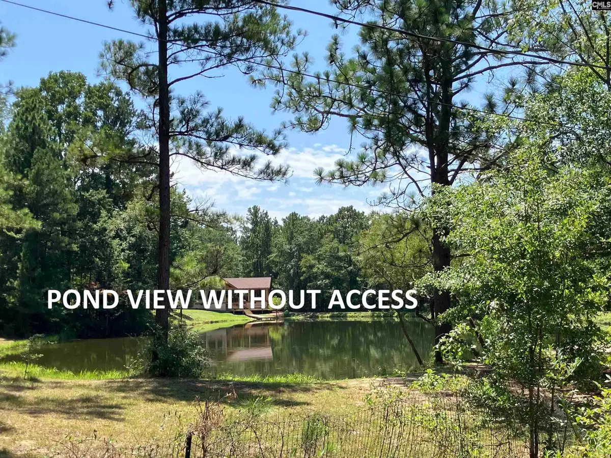 TBD Mack Street, Gaston, SC 29053 - #1
