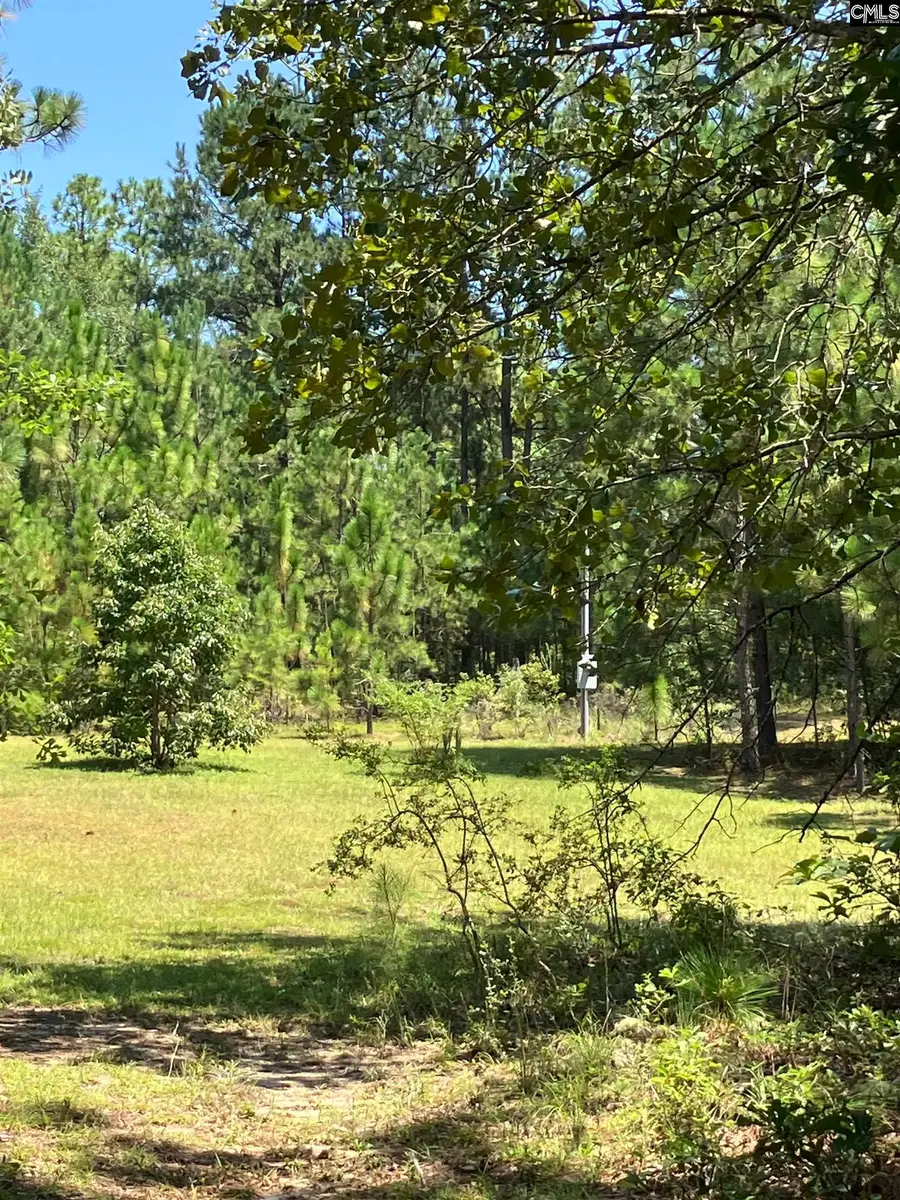 TBD Mack Street, Gaston, SC 29053 - #3