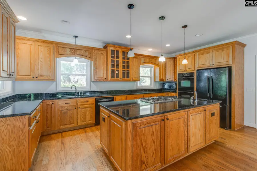 703 Mt Ebal Road, Batesburg, SC 29006 - #3