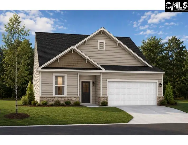 670 Griffon Drive, Chapin, SC 29036 - #1