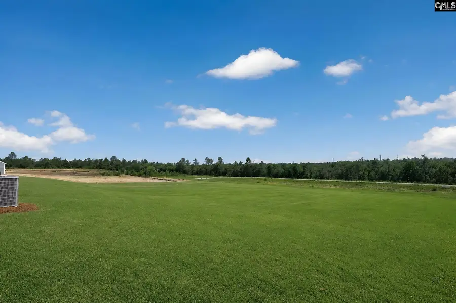 366 Sunnyfalls Drive, Gaston, SC 29053 - #2