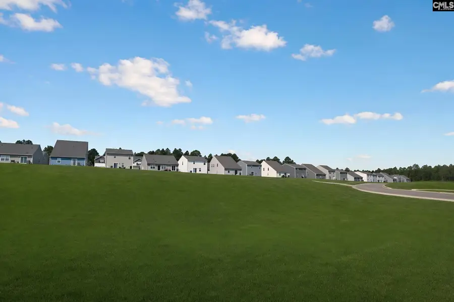 420 Sunny Falls Drive, Gaston, SC 29053 - #2