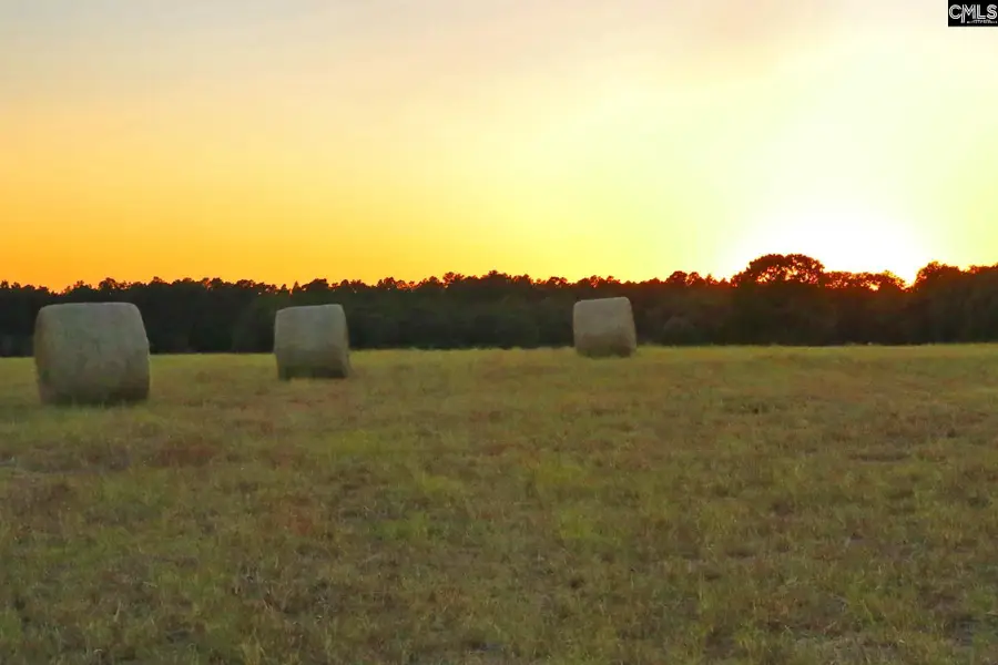 TBD Browns Pond Road, Wagener, SC 29164 - #2