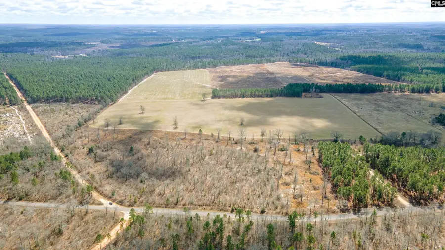TBD Browns Pond Road, Wagener, SC 29164 - #3