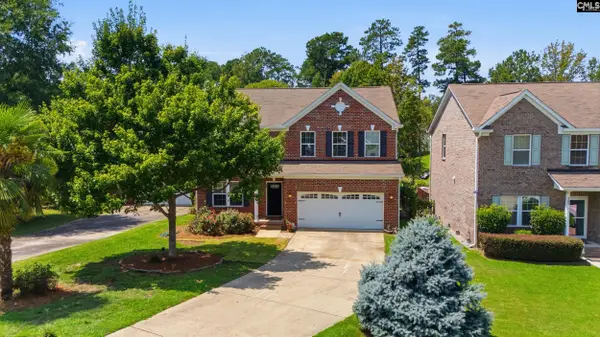 124 Palm Street, Chapin, SC 29036