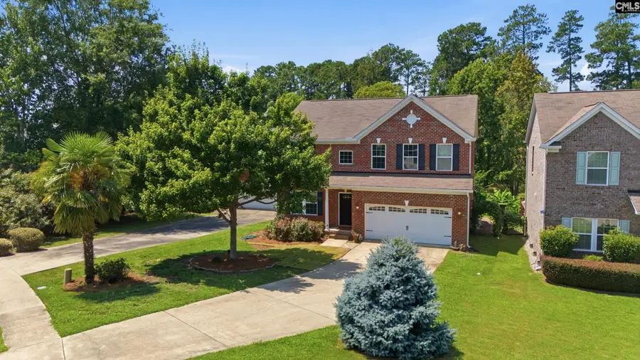 124 Palm Street, Chapin, SC 29036 - #2
