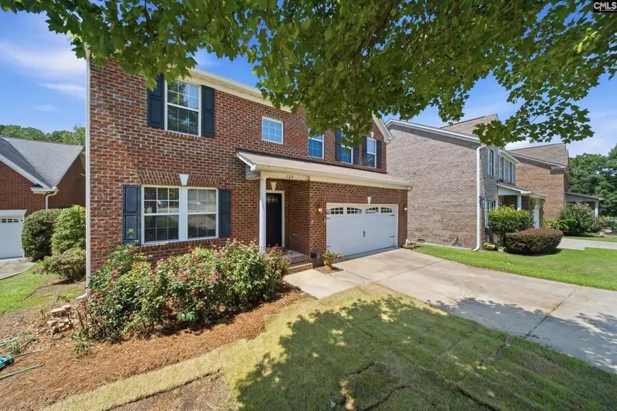 124 Palm Street, Chapin, SC 29036 - #3