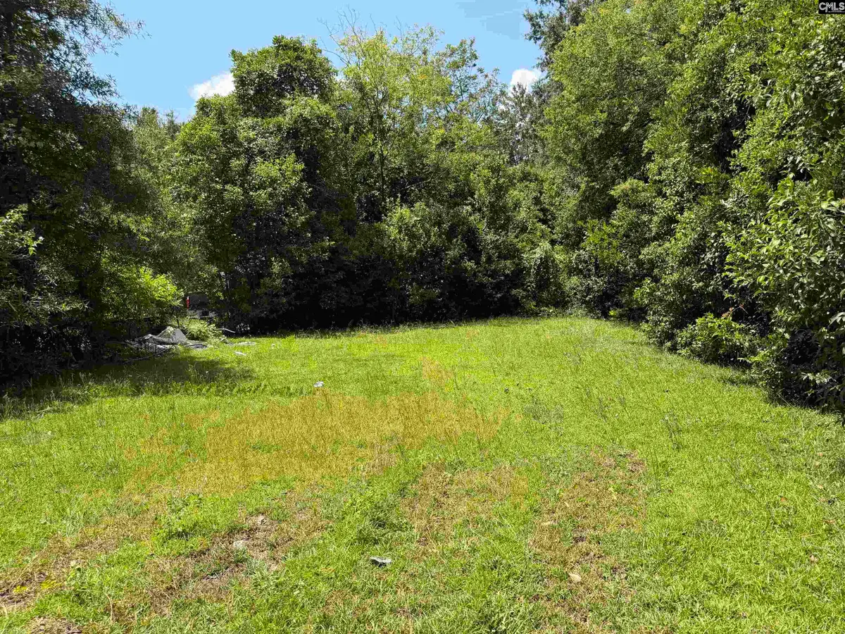 1309 Highland Avenue, Camden, SC 29020 - #1