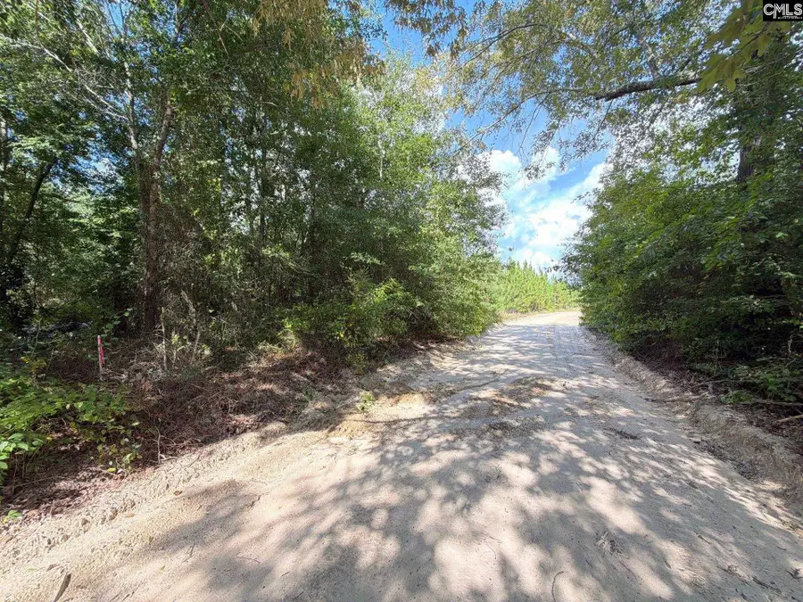 BTF 1 Bradley Trail, Mount Pisgah, SC 29067 - #2