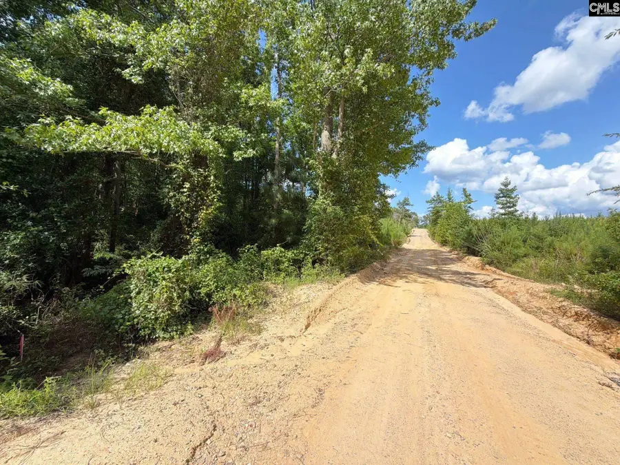 BTF 2 Bradley Trail, Mount Pisgah, SC 29067 - #2