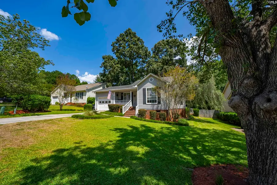 128 Firebridge Drive, Chapin, SC 29036 - #2