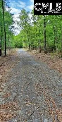 430 Millers Pond, Salley, SC 29137 - #2