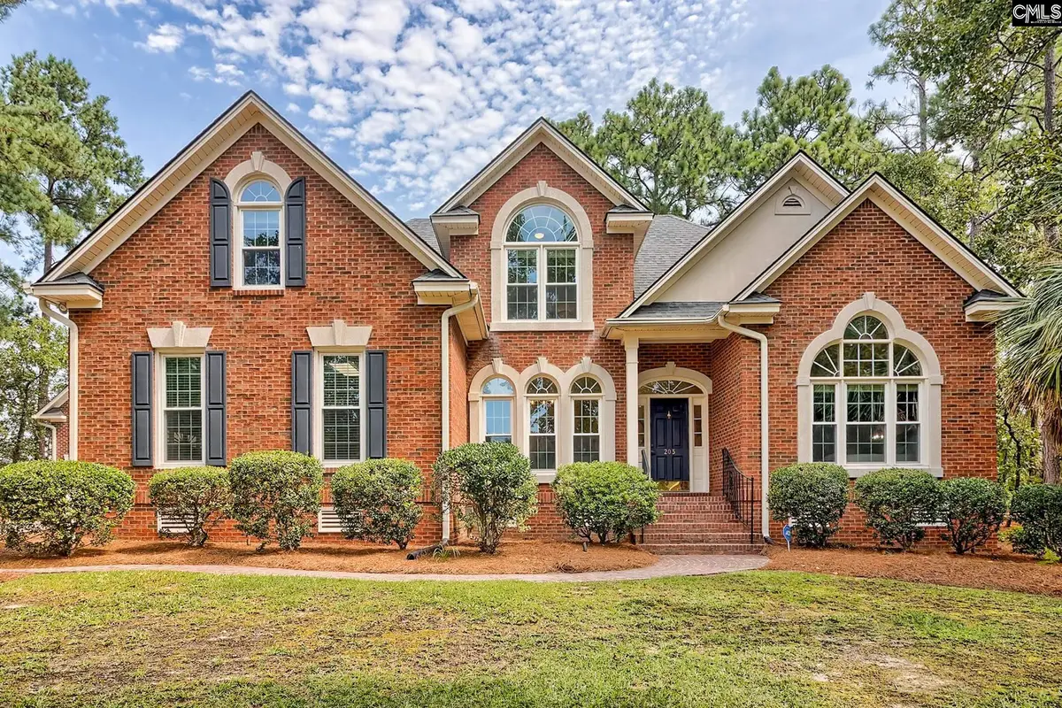 203 Wild Cherry Road, Columbia, SC 29223 - #1