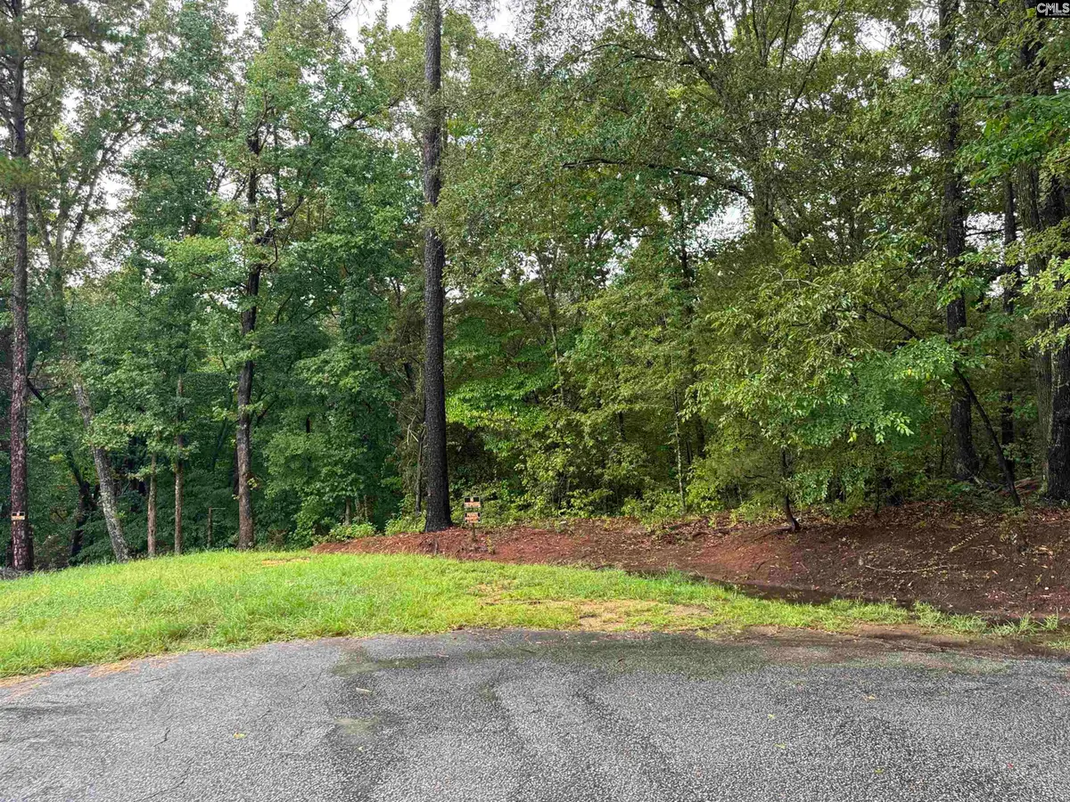TBD N Wysteria Lane, Winnsboro, SC 29180 - #1