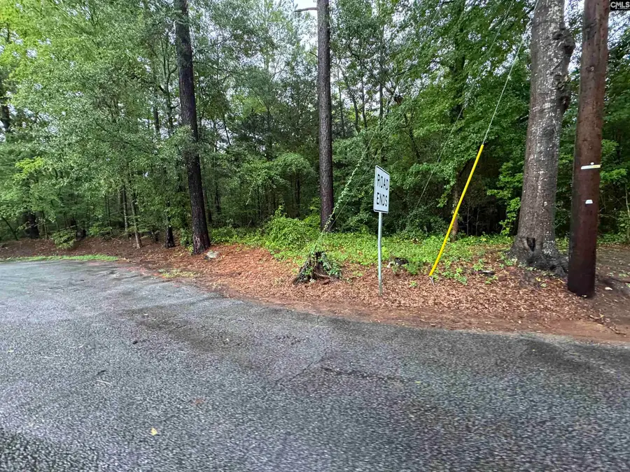 TBD N Wysteria Lane, Winnsboro, SC 29180 - #2