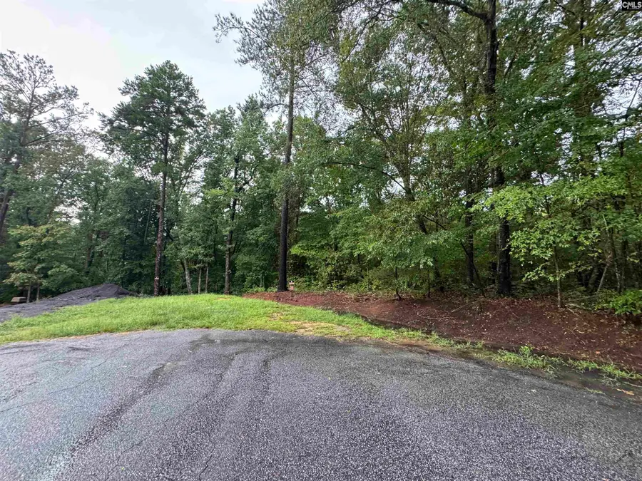 TBD N Wysteria Lane, Winnsboro, SC 29180 - #3