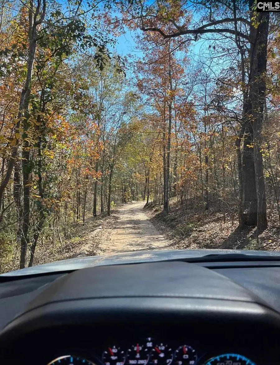 1341 Track Road #A, Pelion, SC 29123 - #2