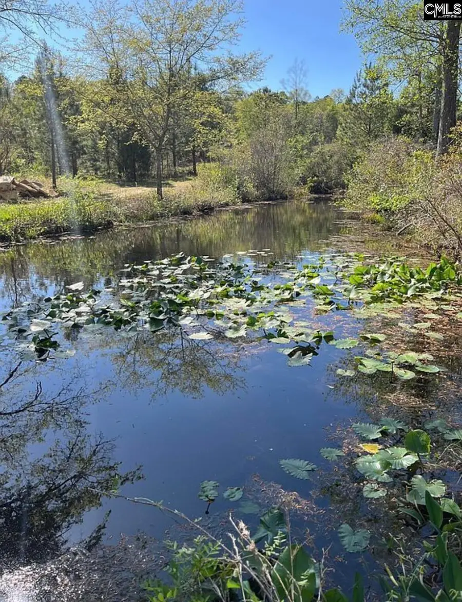 1341 Track Road #A, Pelion, SC 29123 - #3
