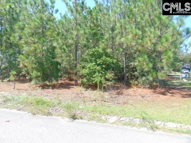 113 Arrowpoint Drive, Gaston, SC 29053 - #1