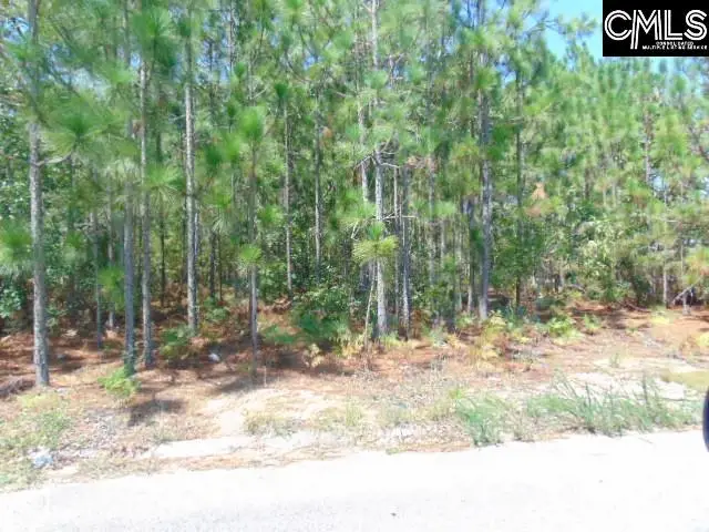 113 Arrowpoint Drive, Gaston, SC 29053 - #3