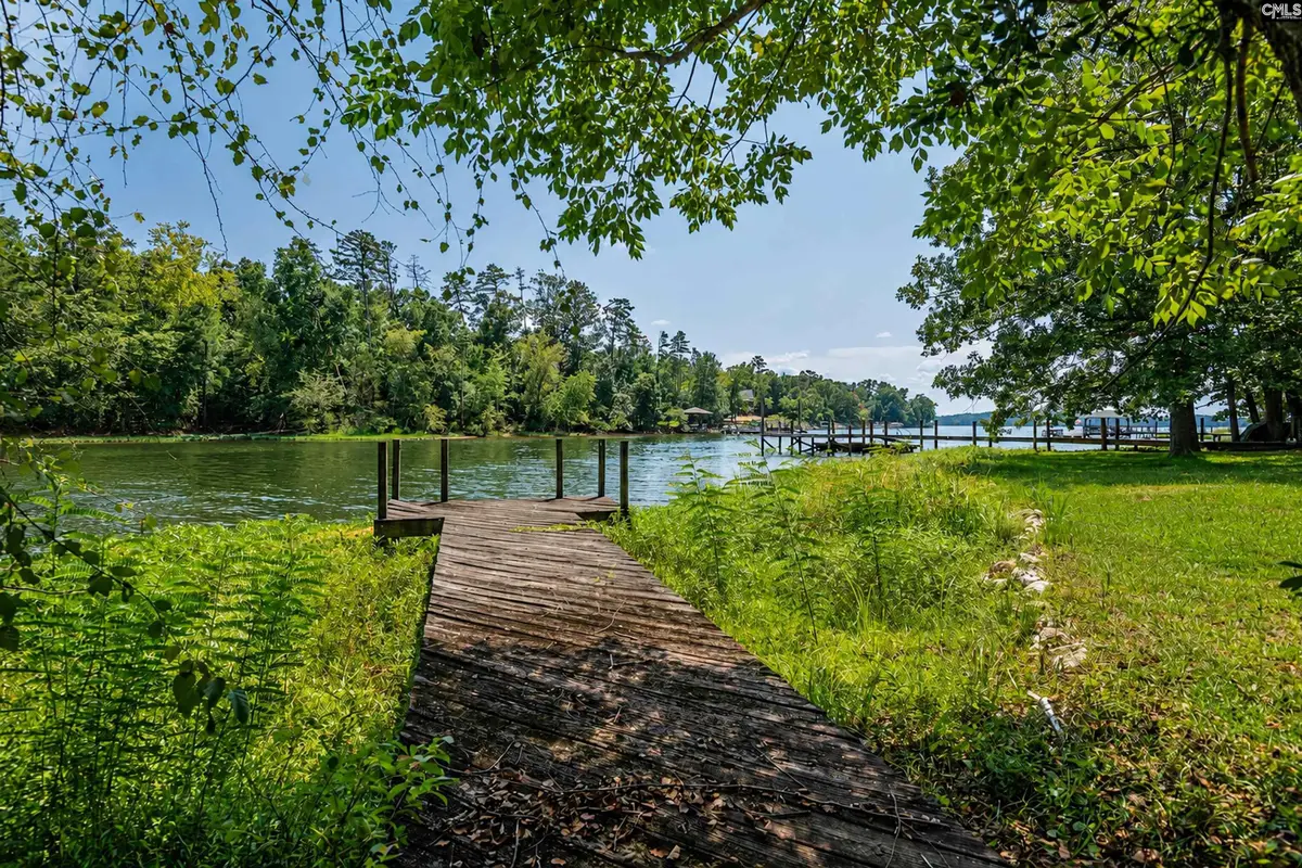 505 Crosswinds Court, Chapin, SC 29036 - #1