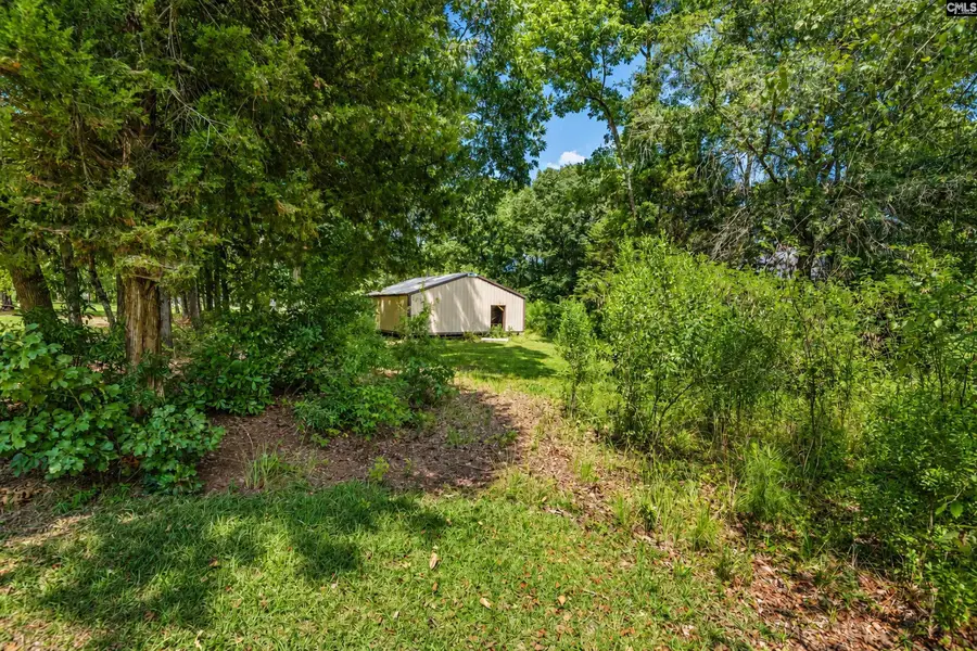 505 Crosswinds Court, Chapin, SC 29036 - #3