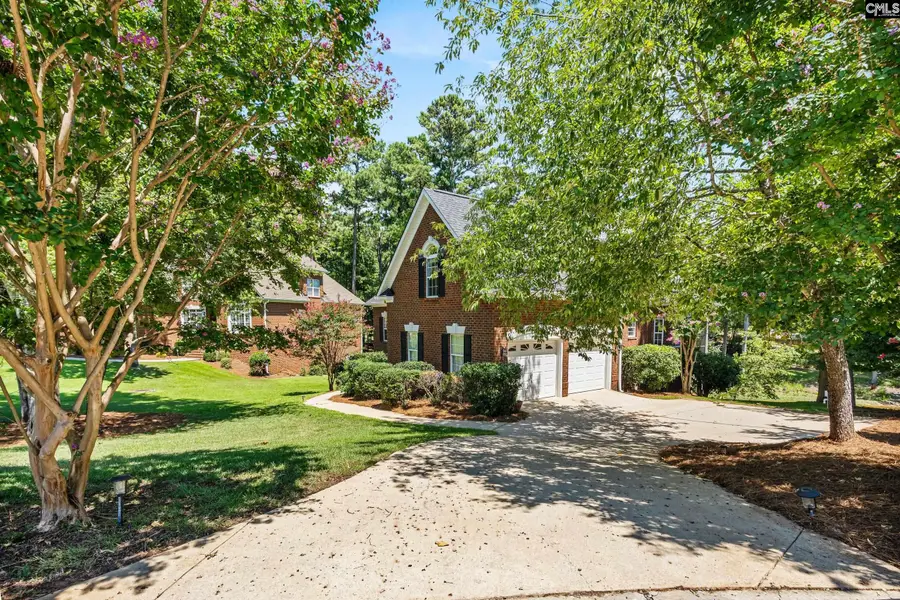 125 Magnolia Key Drive, Chapin, SC 29036 - #3