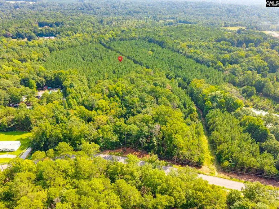 2151 Sara Matthews Road, Columbia, SC 29203 - #3