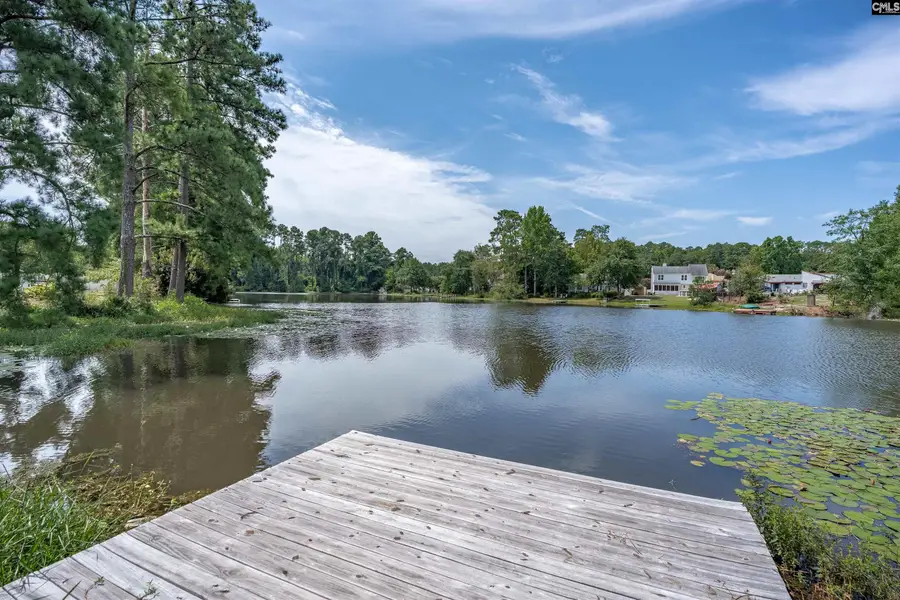 213 Maple Tree Court, Lexington, SC 29073 - #3