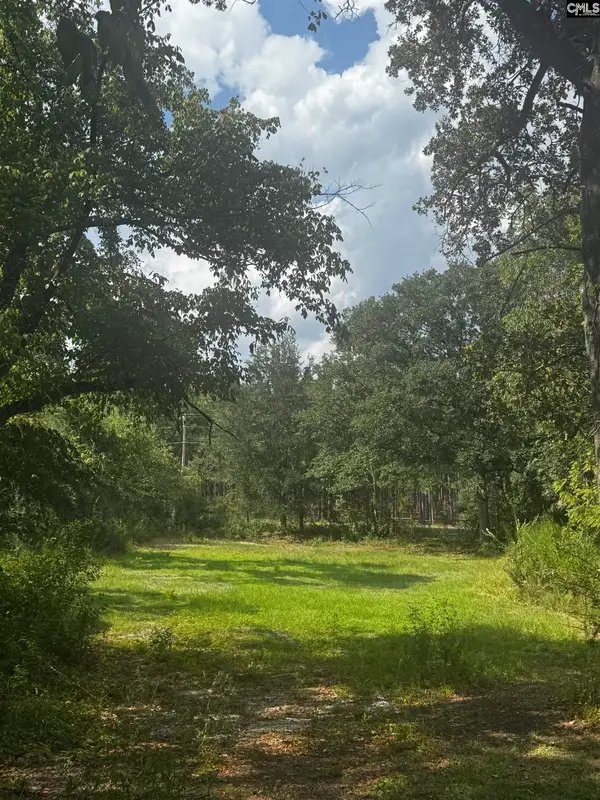116 Rob Teal Road, Patrick, SC 29584