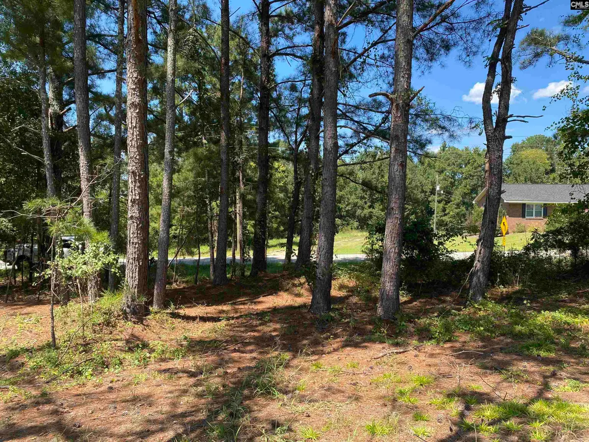 3734-B Stoney Hill Road, Prosperity, SC 29127 - #1