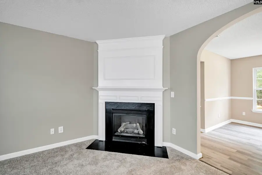 260 Loskin Lane, Lexington, SC 29073 - #3
