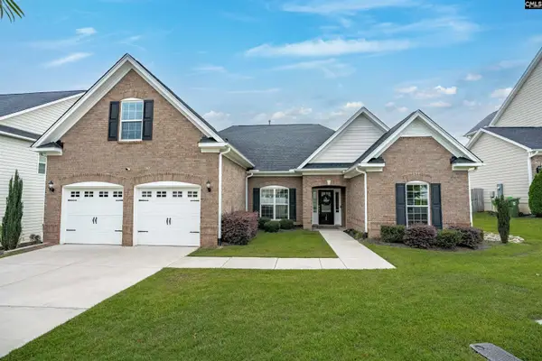 148 Almofini Lane, Chapin, SC 29036
