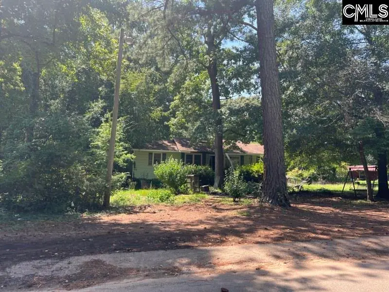 124 Middefield Road, Little Mountain, SC 29075 - #1
